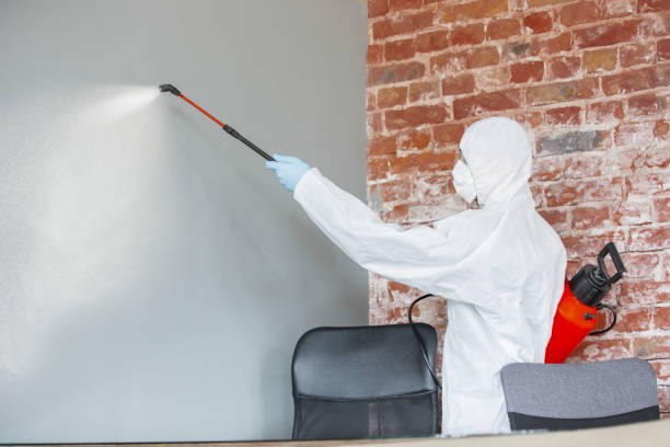 Best Forensic Mold Investigation  in Laupahoehoe, HI