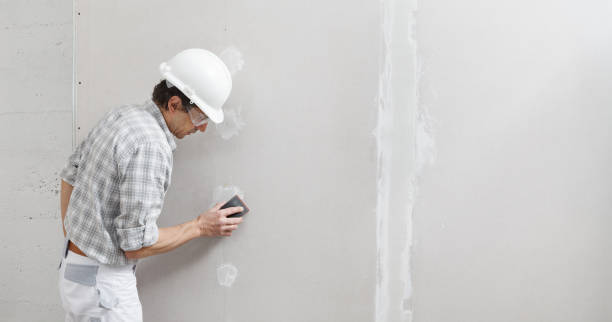 Best Post-Construction Mold Inspection  in Laupahoehoe, HI