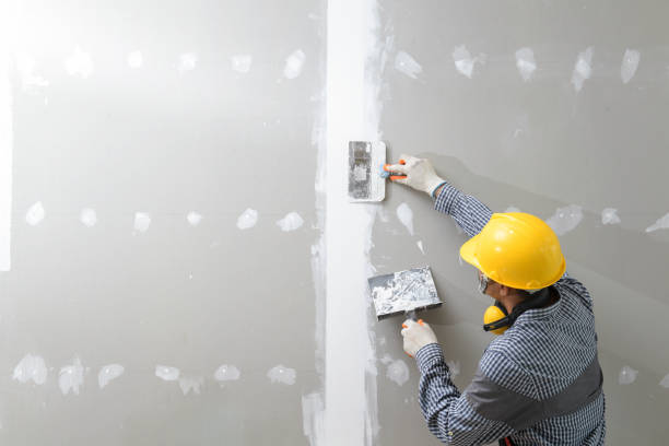 Best Mold Removal for HVAC Installations  in Laupahoehoe, HI