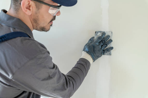 Best Crawl Space Mold Remediation  in Laupahoehoe, HI