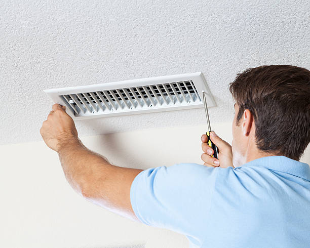 Best Basement Mold Removal  in Laupahoehoe, HI