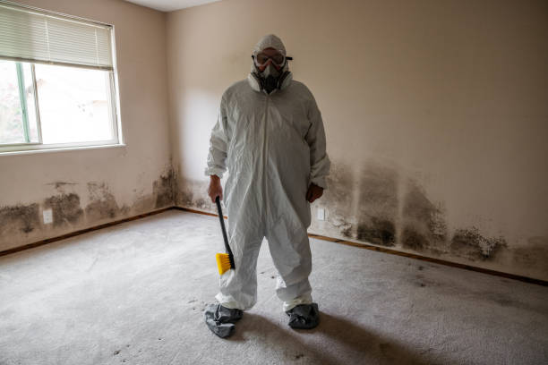 Best Real Estate Mold Inspection  in Laupahoehoe, HI