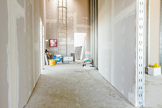 Best Environmental Consulting for Mold Prevention  in Laupahoehoe, HI