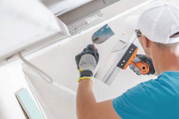 Best Mold Damage Restoration  in Laupahoehoe, HI